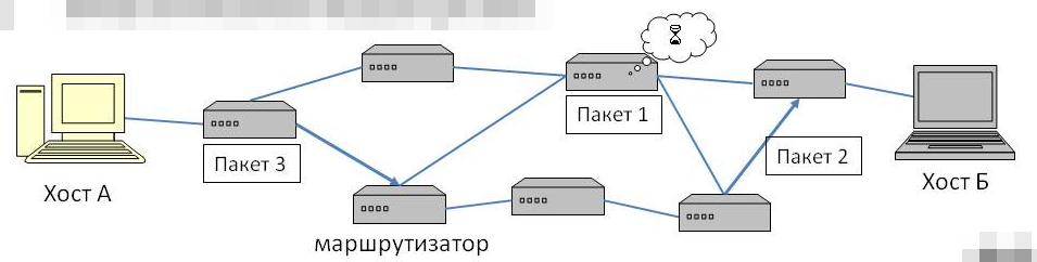 Ели сетевой